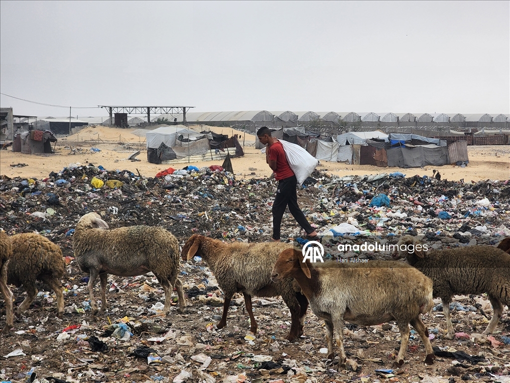 Gazze'de çocuklar, gıda ve temel ihtiyaç malzemeleri bulmak için çöp yığınlarını arıyor