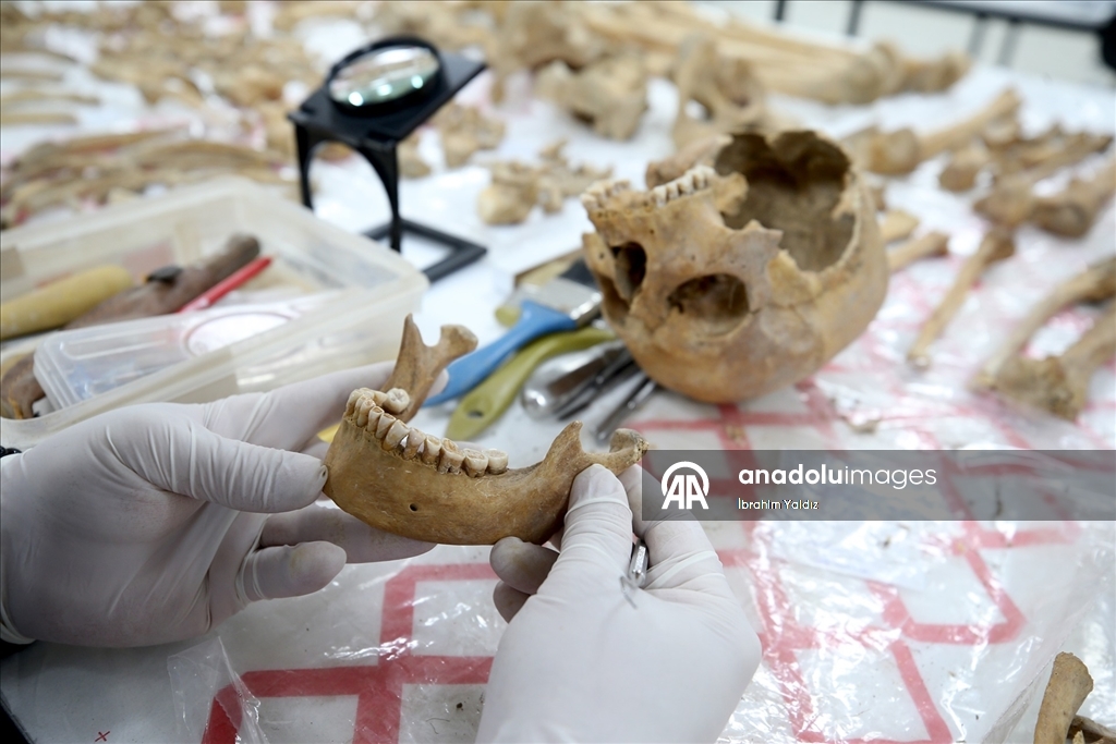 Malazgirt'teki kazılarda çıkarılan insan iskeletlerinin sırrı antropoloji laboratuvarında araştırılıyor