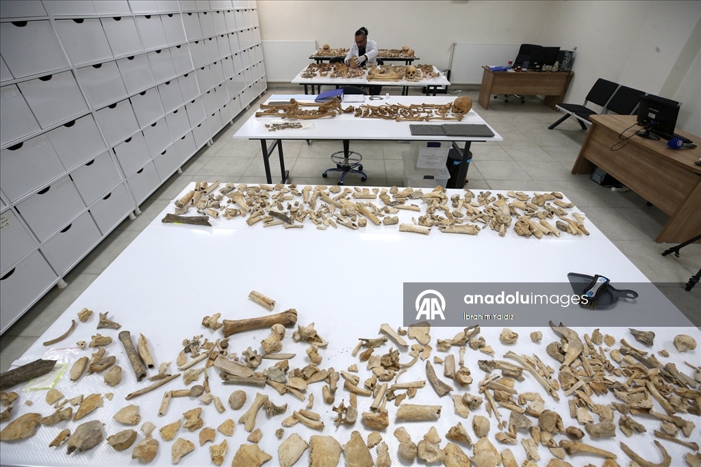 Malazgirt'teki kazılarda çıkarılan insan iskeletlerinin sırrı antropoloji laboratuvarında araştırılıyor