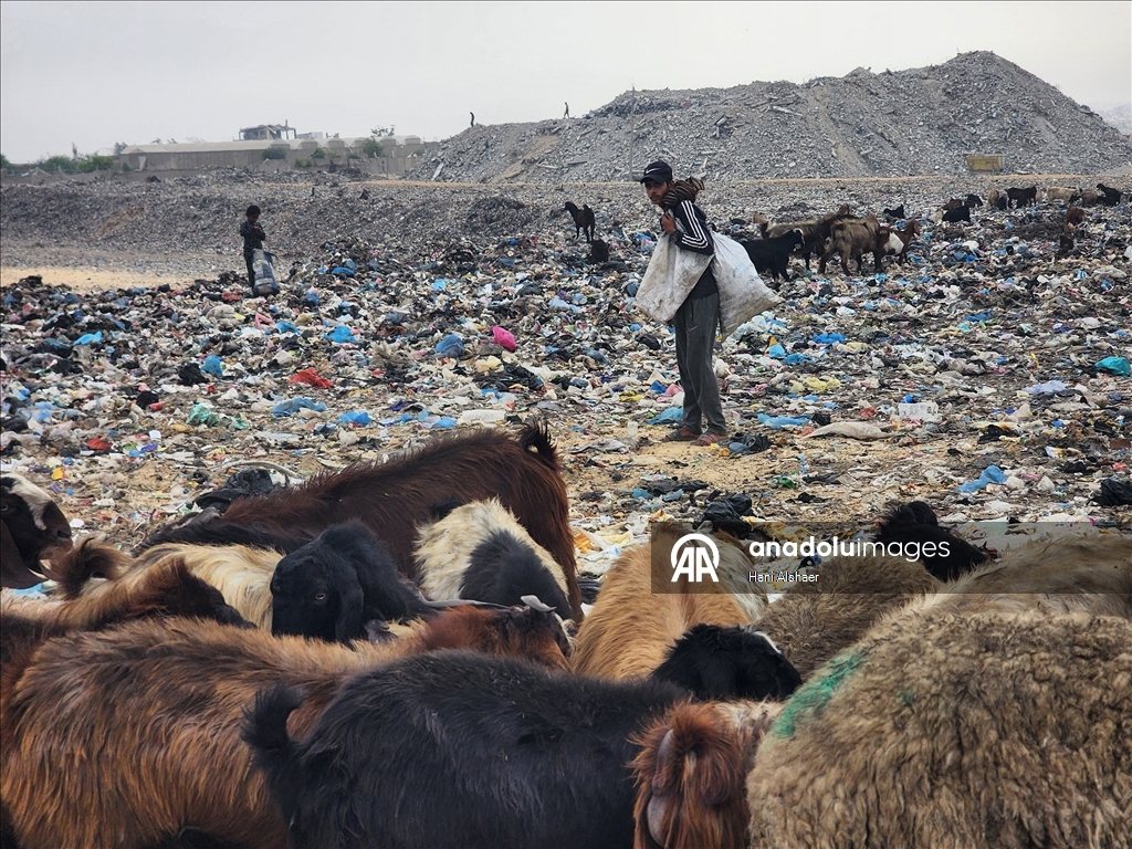 Gazze'de çocuklar, gıda ve temel ihtiyaç malzemeleri bulmak için çöp yığınlarını arıyor