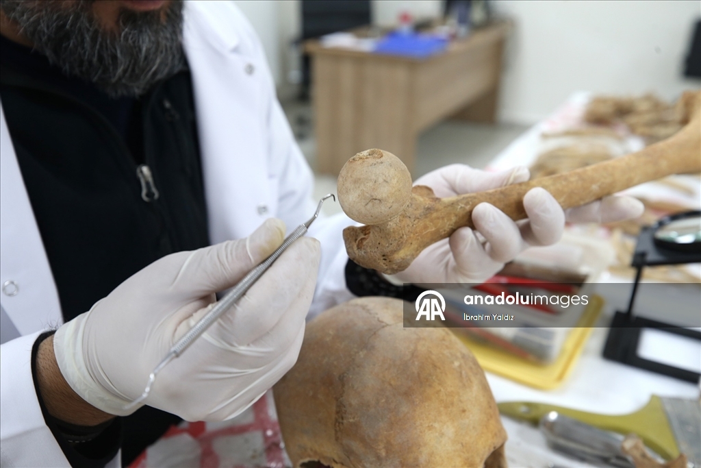 Malazgirt'teki kazılarda çıkarılan insan iskeletlerinin sırrı antropoloji laboratuvarında araştırılıyor