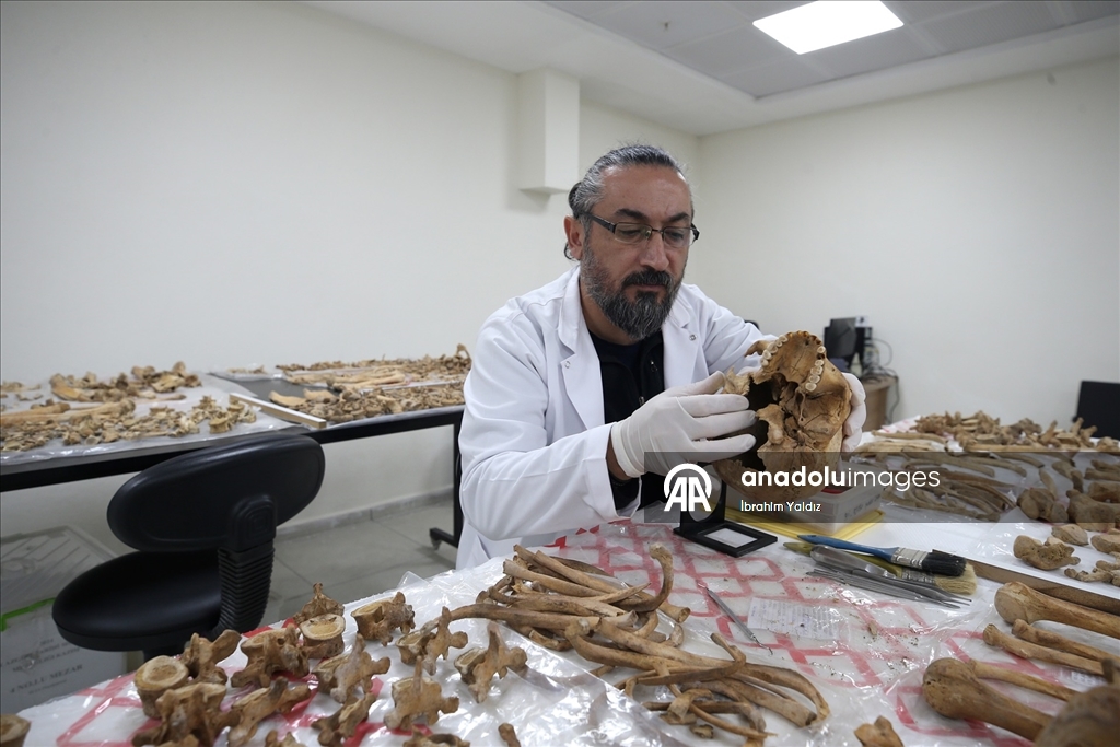 Malazgirt'teki kazılarda çıkarılan insan iskeletlerinin sırrı antropoloji laboratuvarında araştırılıyor
