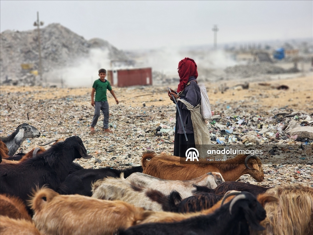 Gazze'de çocuklar, gıda ve temel ihtiyaç malzemeleri bulmak için çöp yığınlarını arıyor