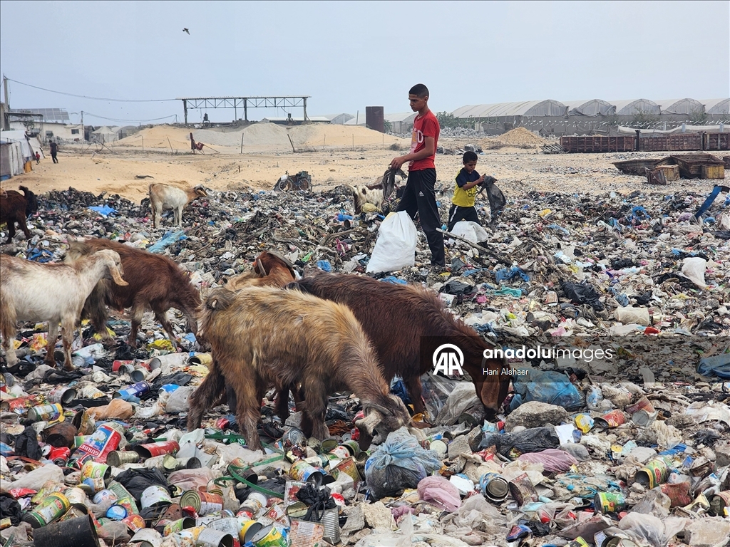 Gazze'de çocuklar, gıda ve temel ihtiyaç malzemeleri bulmak için çöp yığınlarını arıyor