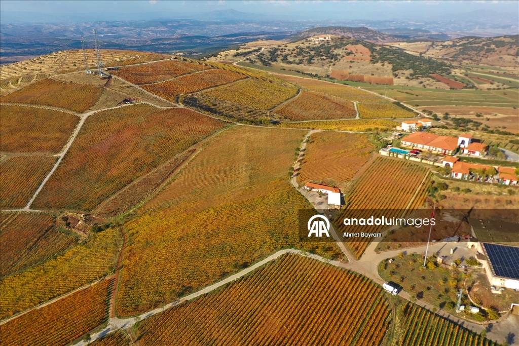 Осенние краски на «обожженной земле»