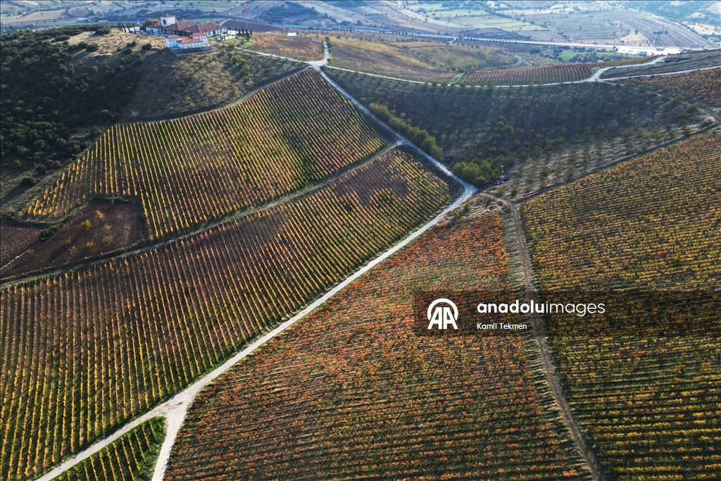 Yanık Ülke"de sonbahar renkleri volkanik topraklarla buluştu