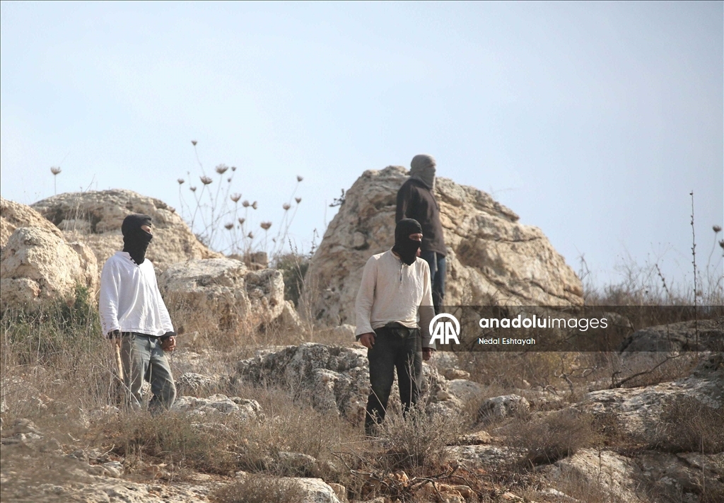 Filistin topraklarını gasbeden İsrailliler, Batı Şeria'da gazeteciler ve yabancı aktivistlere saldırdı