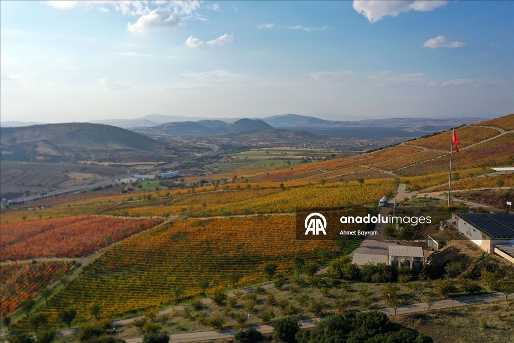 Yanık Ülke'de sonbahar renkleri