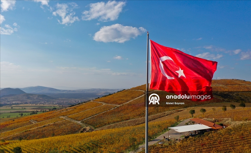 Осенние краски на «обожженной земле»