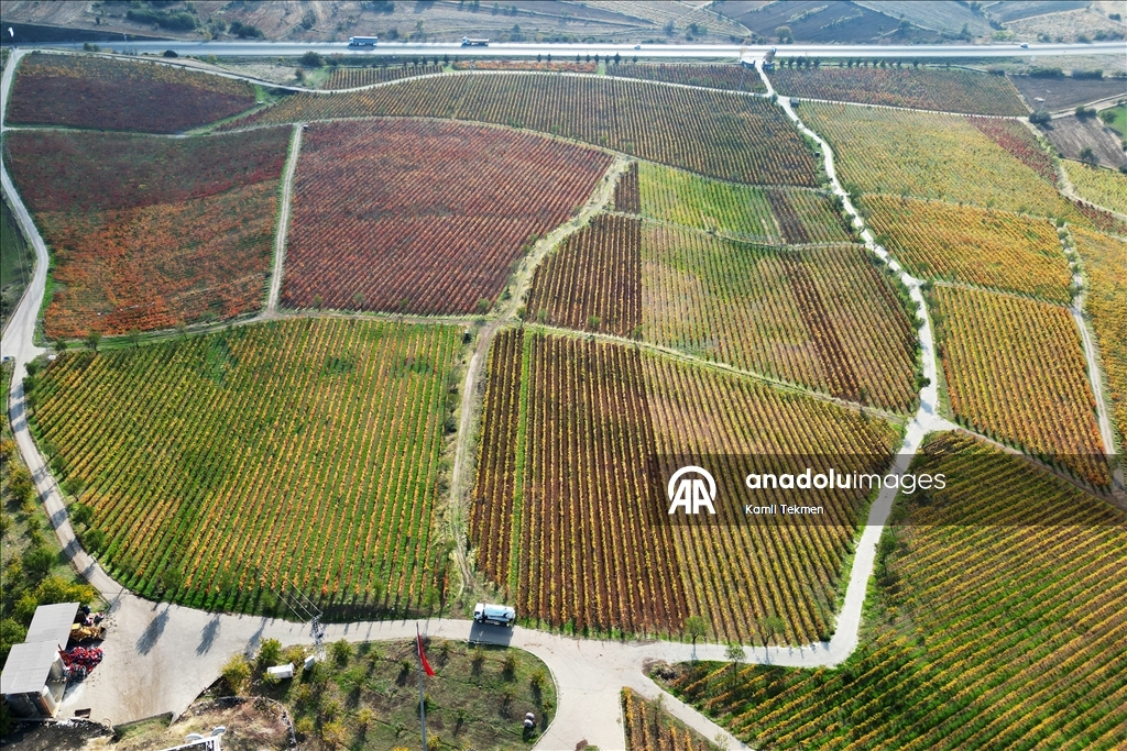 Yanık Ülke"de sonbahar renkleri volkanik topraklarla buluştu