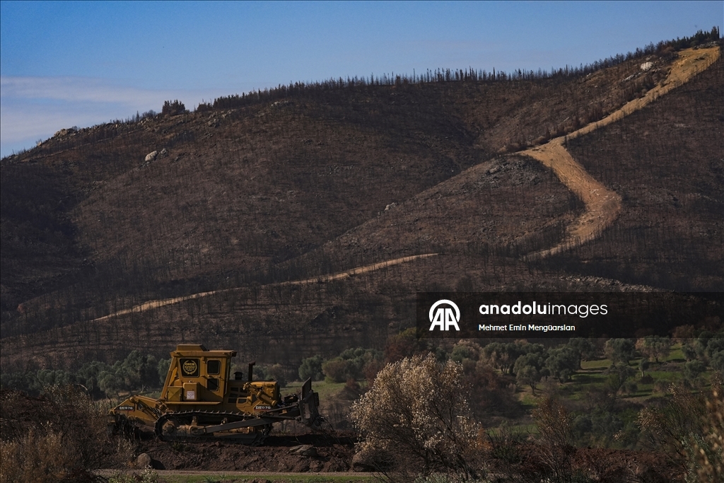 Yanan orman alanları hummalı çalışmayla yeni fidanlara hazırlanıyor