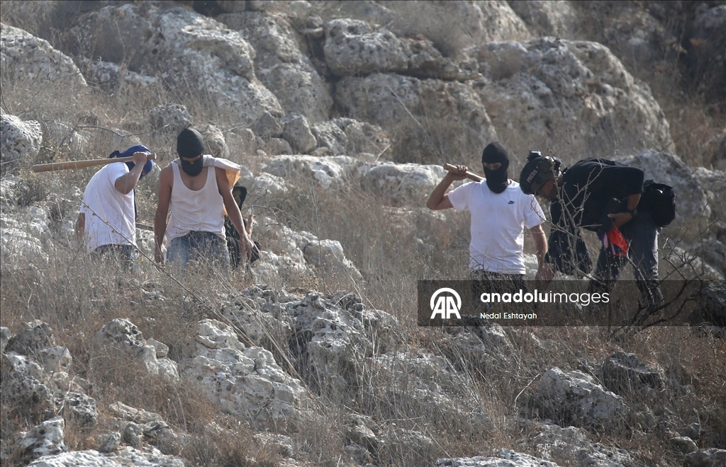 Filistin topraklarını gasbeden İsrailliler, Batı Şeria'da gazeteciler ve yabancı aktivistlere saldırdı