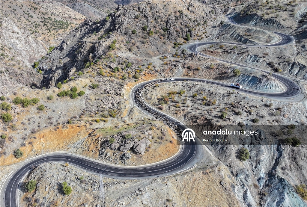 مع اقتراب الشتاء.. رعاة ديار بكر التركية يغادرون المرتفعات