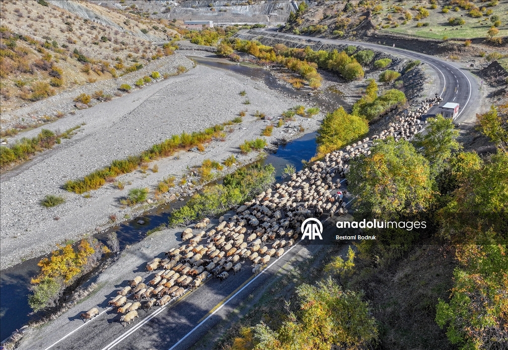 مع اقتراب الشتاء.. رعاة ديار بكر التركية يغادرون المرتفعات