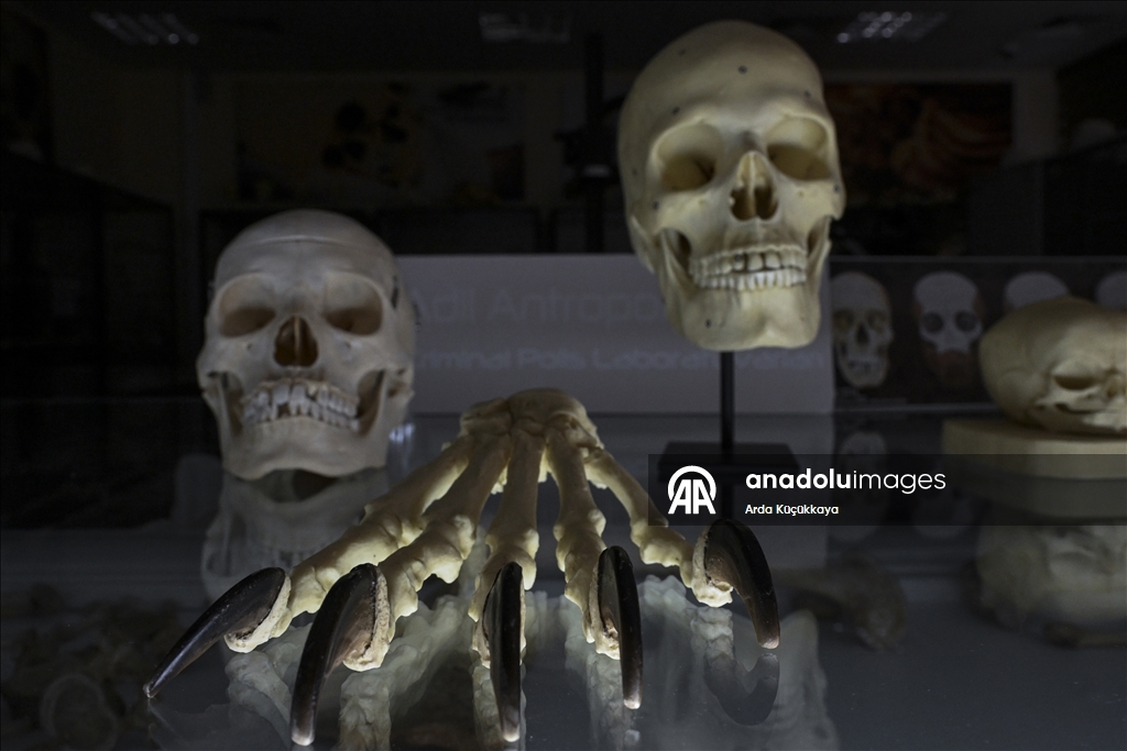 Kayıp yüzlerin arkasındaki faili meçhul cinayetler polis laboratuvarında aydınlatılıyor