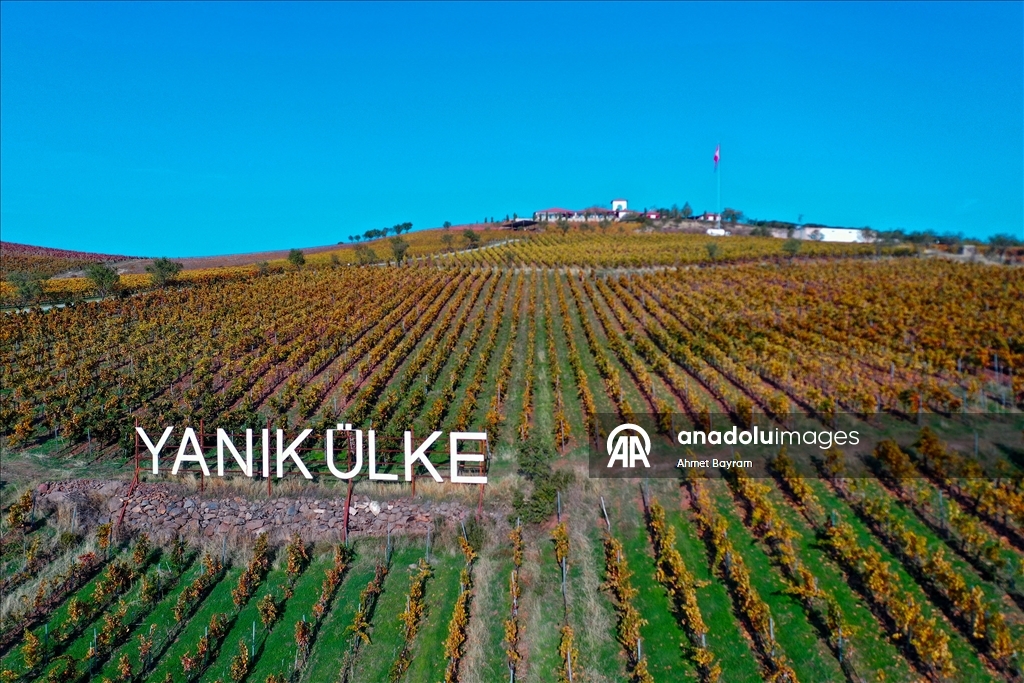 Осенние краски на «обожженной земле»