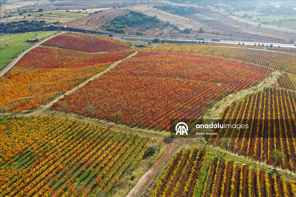 Осенние краски на «обожженной земле»