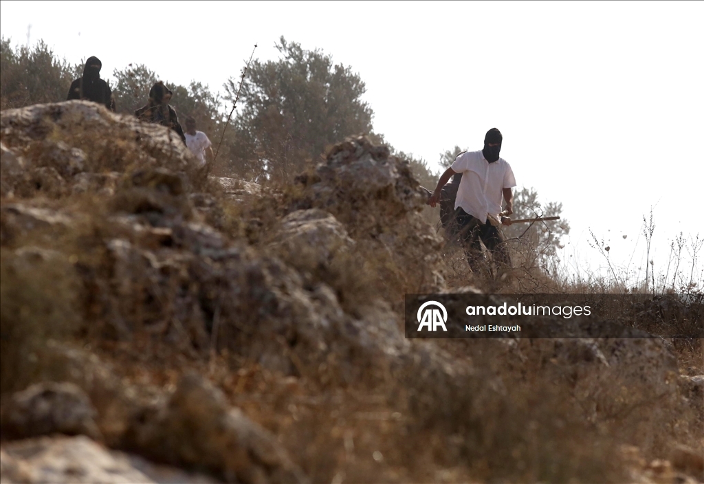 Filistin topraklarını gasbeden İsrailliler, Batı Şeria'da gazeteciler ve yabancı aktivistlere saldırdı