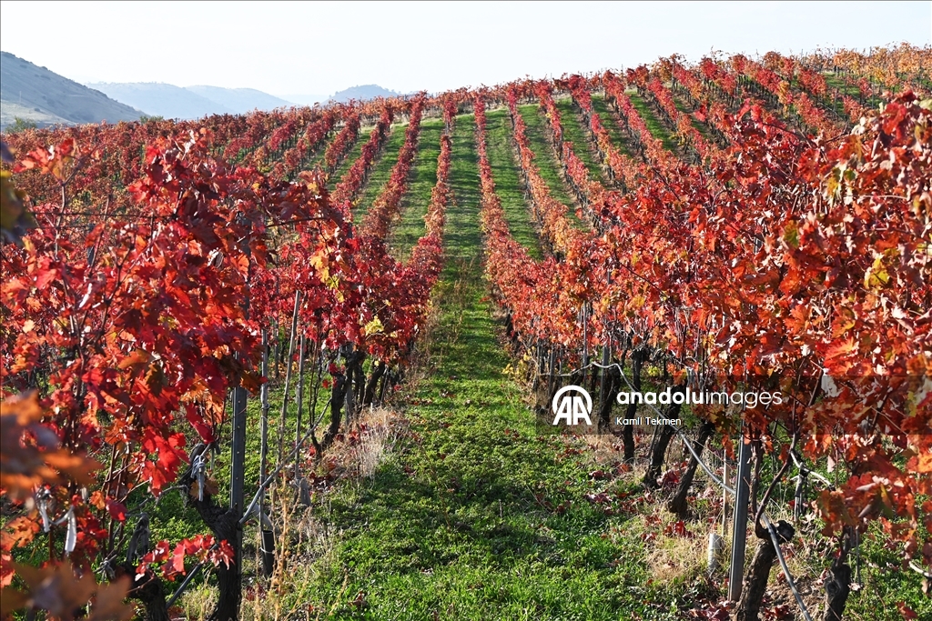 Yanık Ülke"de sonbahar renkleri volkanik topraklarla buluştu