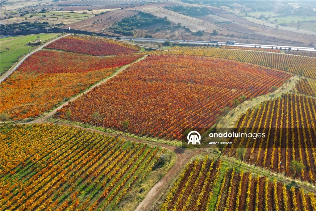 Yanık Ülke'de sonbahar renkleri