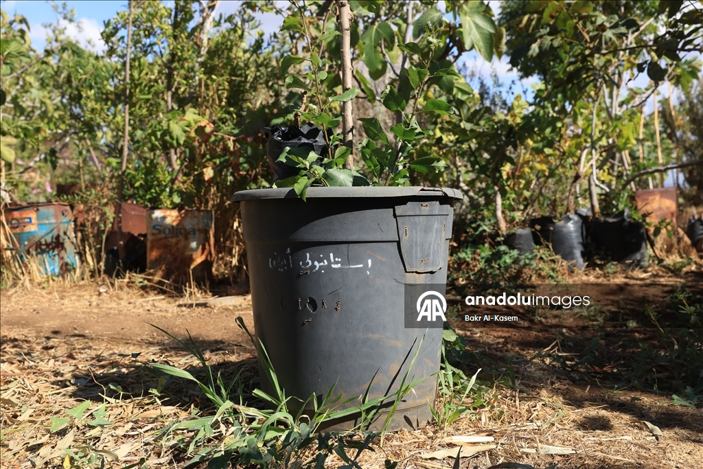 السوري رجب يرعى نباتات نادرة ويخشى عليها من تهديدات إسرائيل