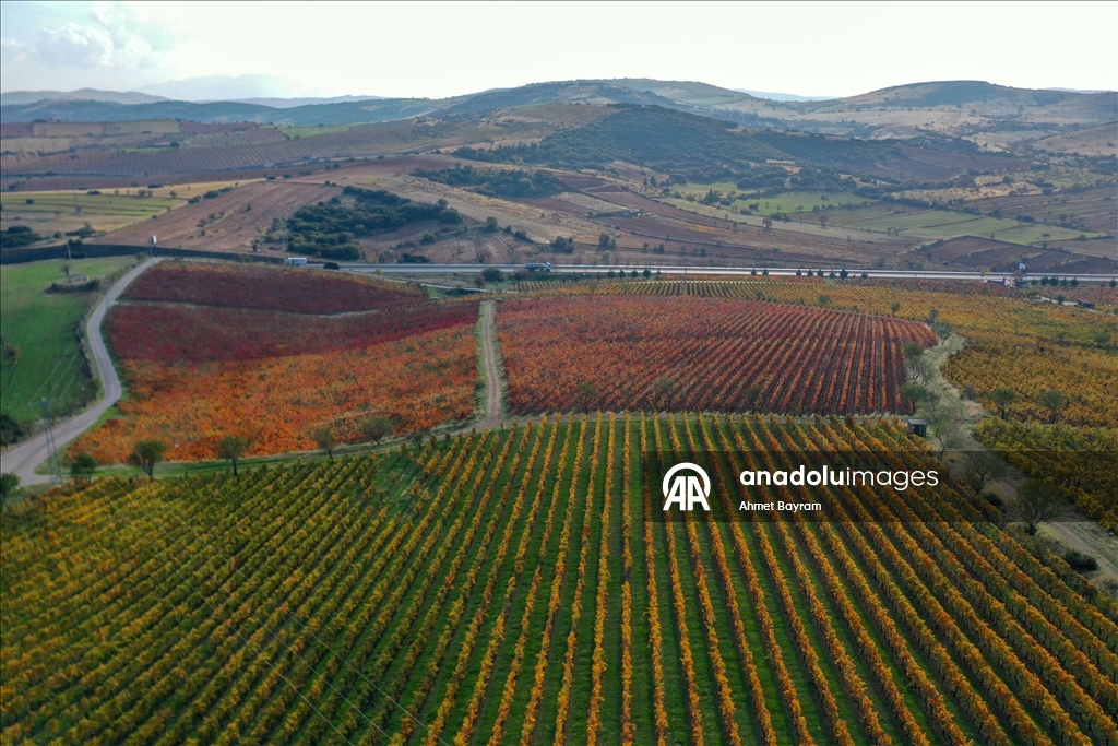 Осенние краски на «обожженной земле»