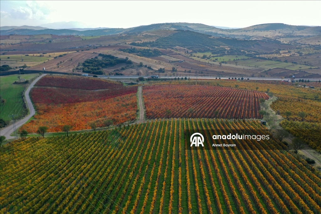 Yanık Ülke'de sonbahar renkleri