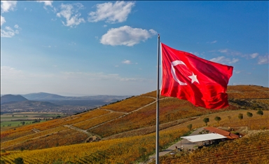 Осенние краски на «обожженной земле»