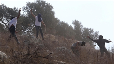 Filistin topraklarını gasbeden İsrailliler, Batı Şeria'da gazeteciler ve yabancı aktivistlere saldırdı
