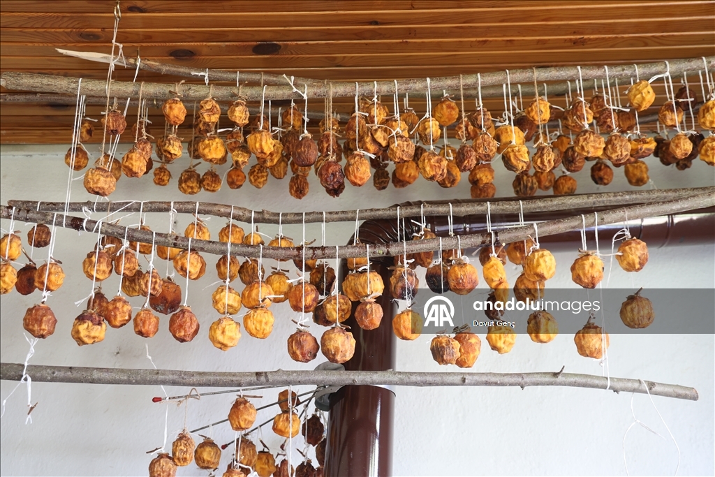 نساء كوجة علي يرفعن شهرة "برسيمون" في أسواق تركيا