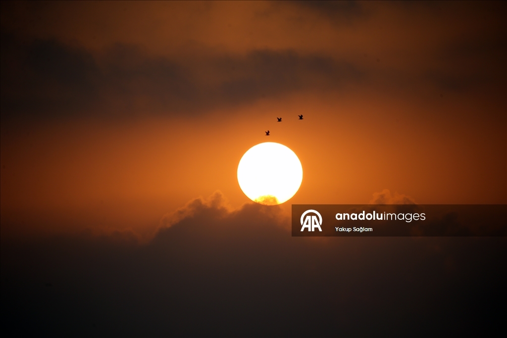 Лагуна Юмурталык предоставляет среду обитания для различных видов животных