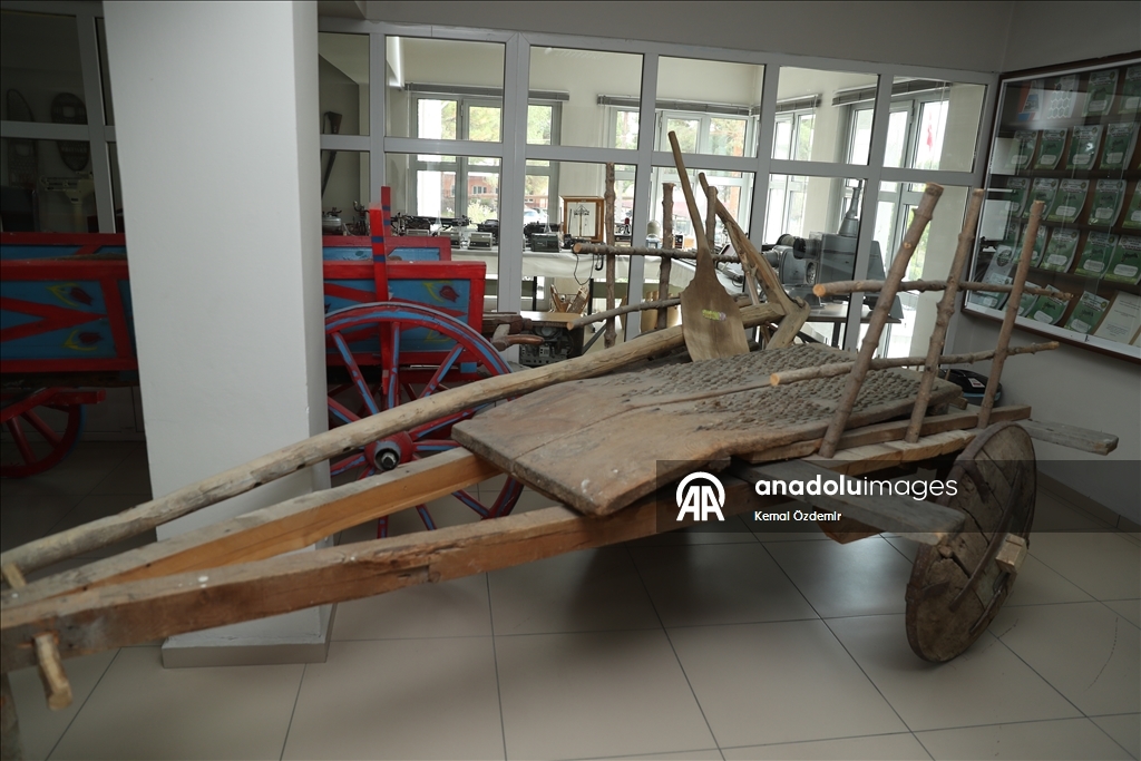 معهد أرزينجان للبستنة.. قرن من الزراعة والابتكار في تركيا