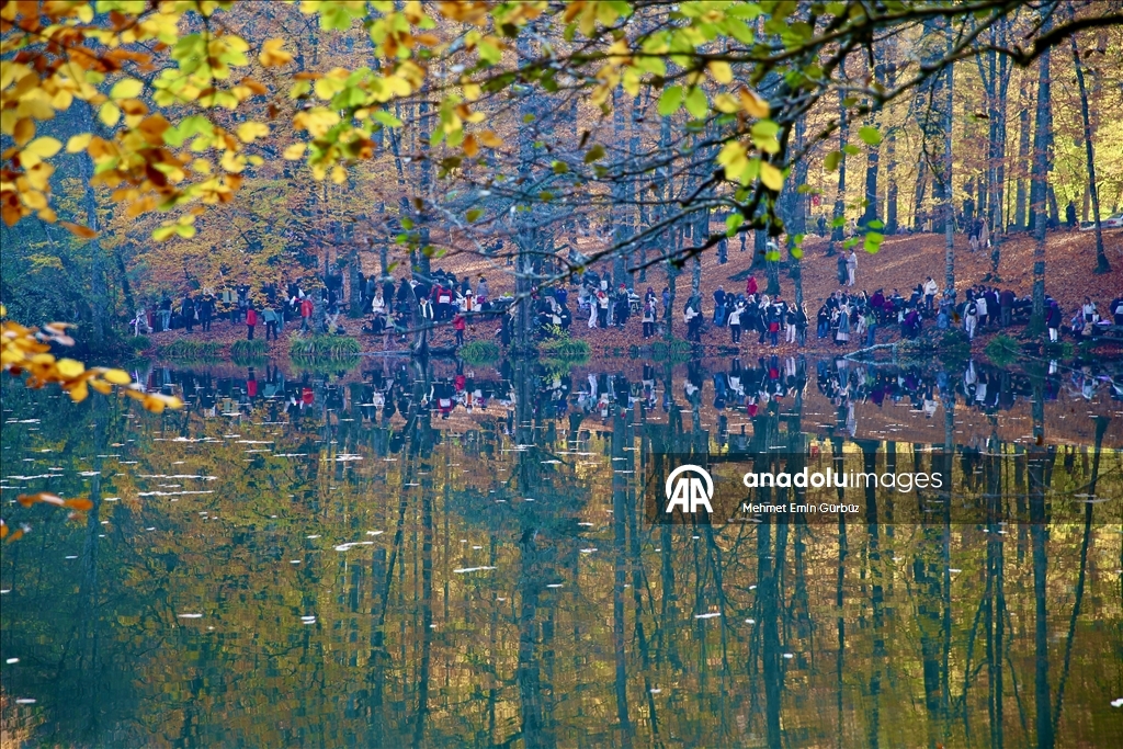 «Лесное море» Йедигёллер в осенних красках привлекает множество посетителей