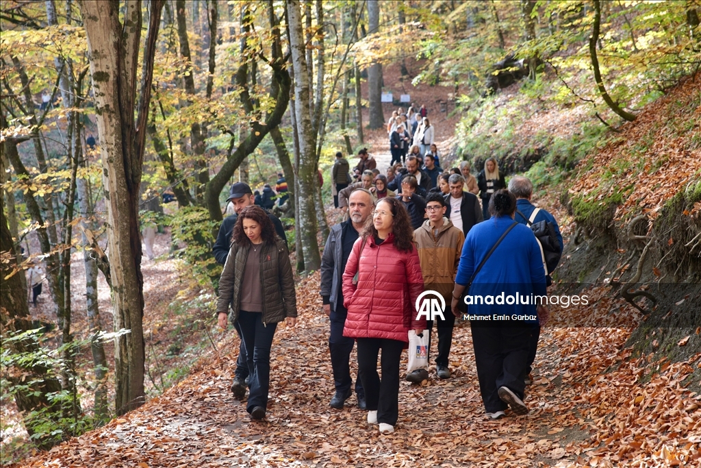 «Лесное море» Йедигёллер в осенних красках привлекает множество посетителей