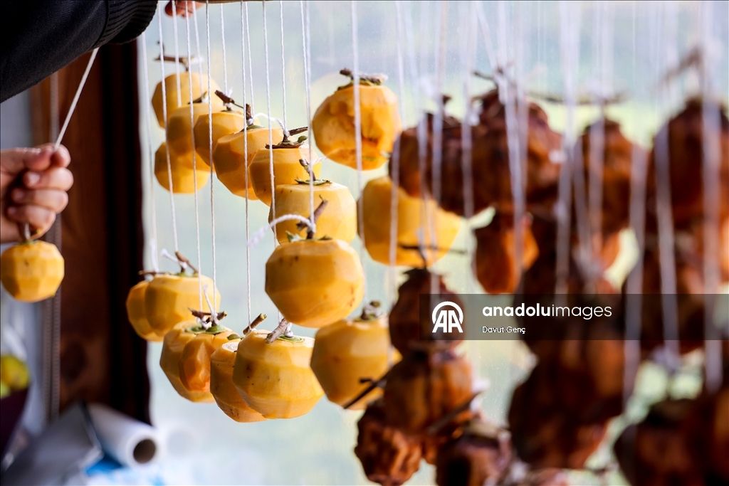 نساء كوجة علي يرفعن شهرة "برسيمون" في أسواق تركيا