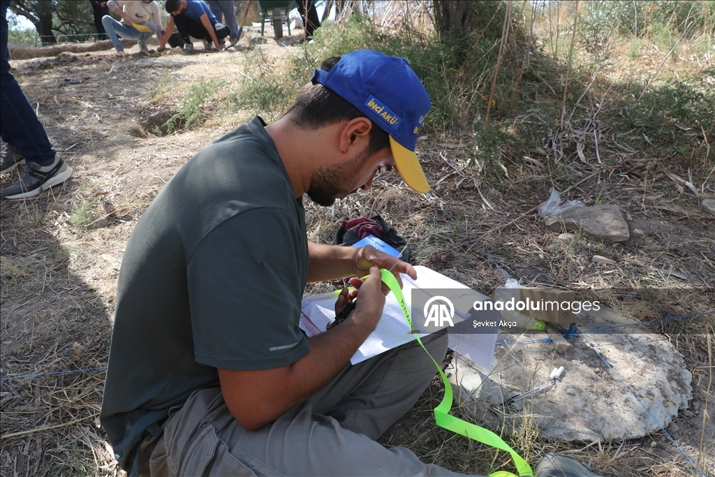 بحثا عن جذور الحضارة.. عودة إلى "أوغاريت" بعد سنوات الحرب بسوريا