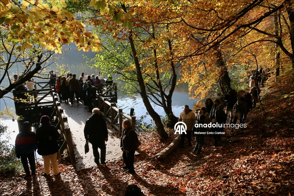 «Лесное море» Йедигёллер в осенних красках привлекает множество посетителей