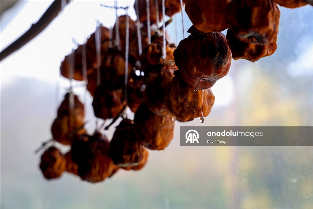 نساء كوجة علي يرفعن شهرة "برسيمون" في أسواق تركيا