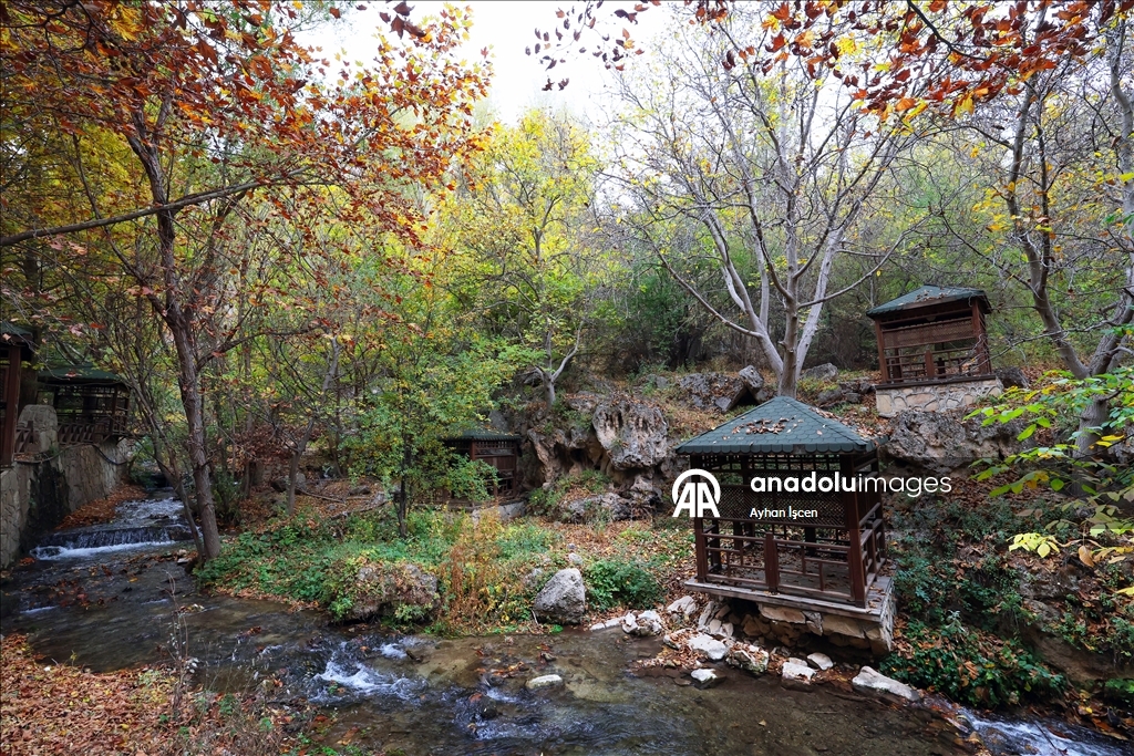 رونق الخريف ينساب مع مياه شلال غونبنار في ملاطيا التركية
