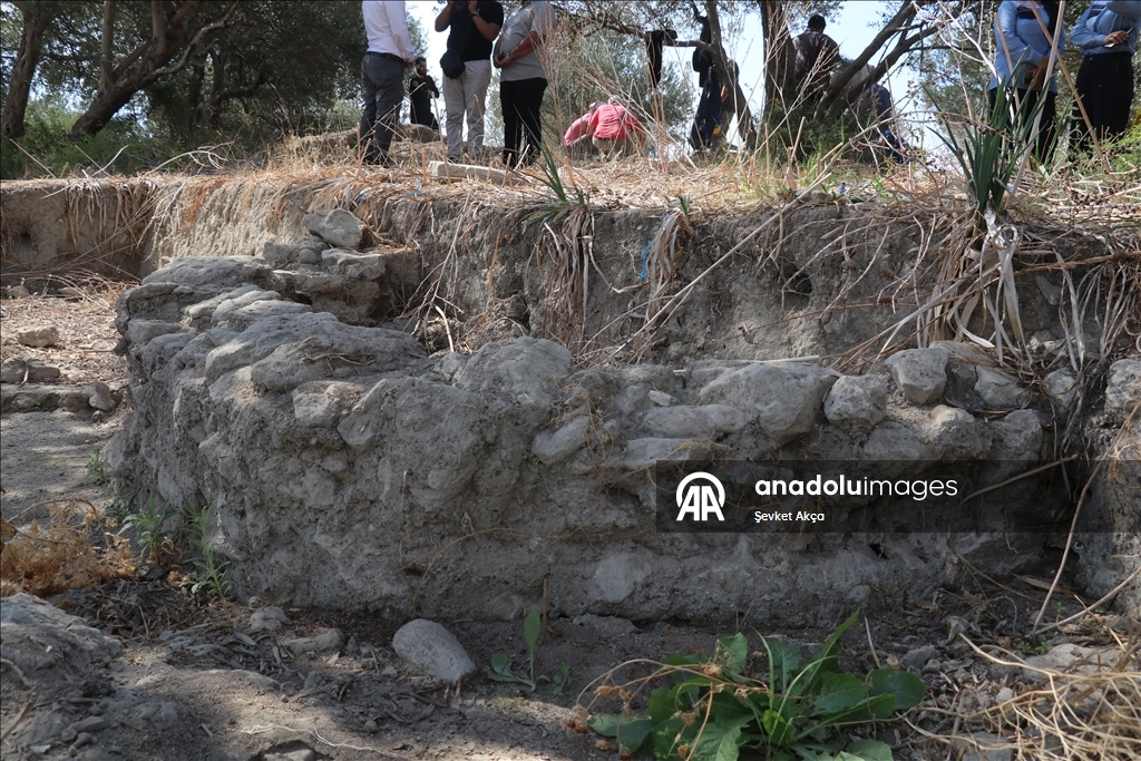 بحثا عن جذور الحضارة.. عودة إلى "أوغاريت" بعد سنوات الحرب بسوريا