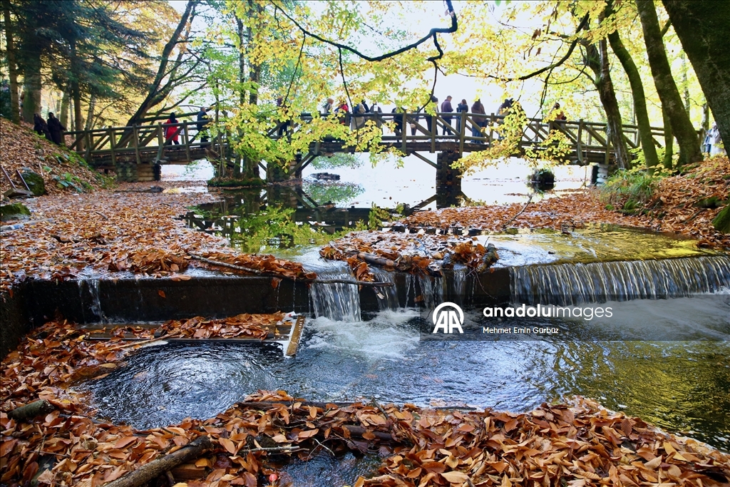 «Лесное море» Йедигёллер в осенних красках привлекает множество посетителей