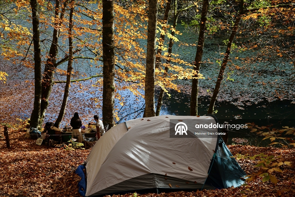 «Лесное море» Йедигёллер в осенних красках привлекает множество посетителей