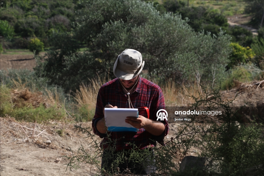 بحثا عن جذور الحضارة.. عودة إلى "أوغاريت" بعد سنوات الحرب بسوريا