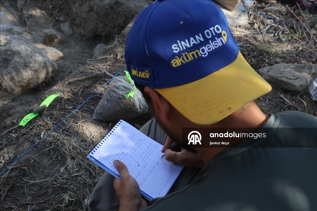 بحثا عن جذور الحضارة.. عودة إلى "أوغاريت" بعد سنوات الحرب بسوريا