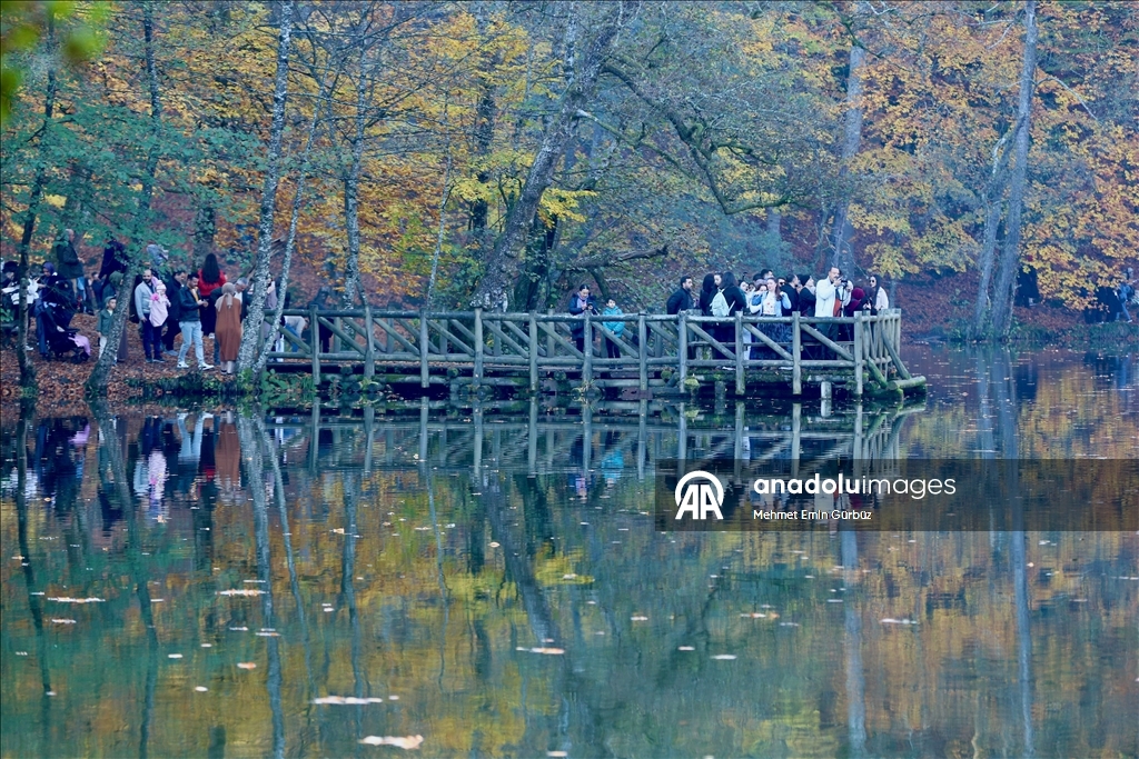 «Лесное море» Йедигёллер в осенних красках привлекает множество посетителей