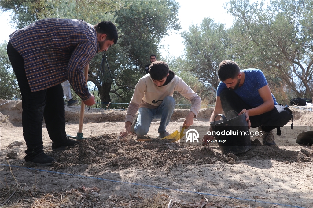 بحثا عن جذور الحضارة.. عودة إلى "أوغاريت" بعد سنوات الحرب بسوريا