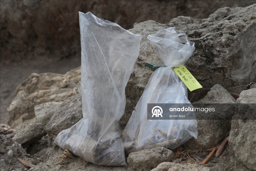 بحثا عن جذور الحضارة.. عودة إلى "أوغاريت" بعد سنوات الحرب بسوريا