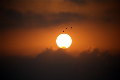 Лагуна Юмурталык предоставляет среду обитания для различных видов животных