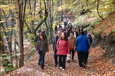 «Лесное море» Йедигёллер в осенних красках привлекает множество посетителей