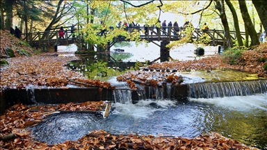 Sonbahar renklerine bürünen "orman denizi" Yedigöller'de ziyaretçi yoğunluğu